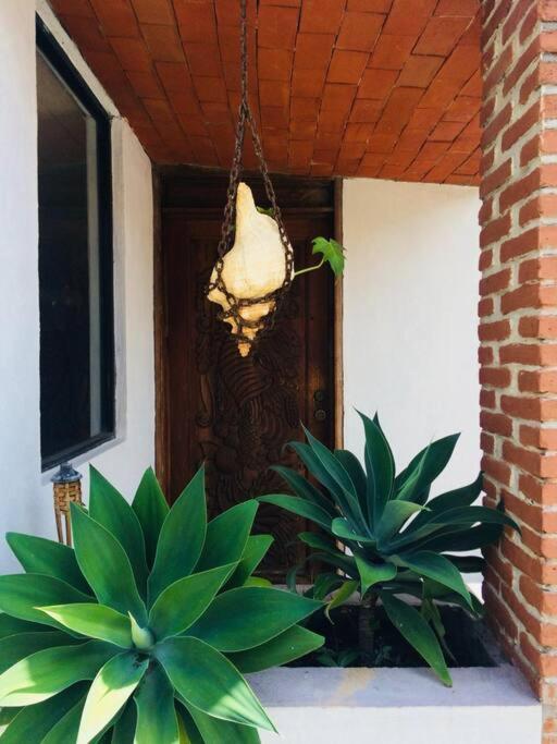 Finca Taino. Hermosa Casa Con Alberca 休特佩克 外观 照片